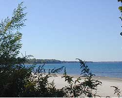 Shoreline of Lake Erie